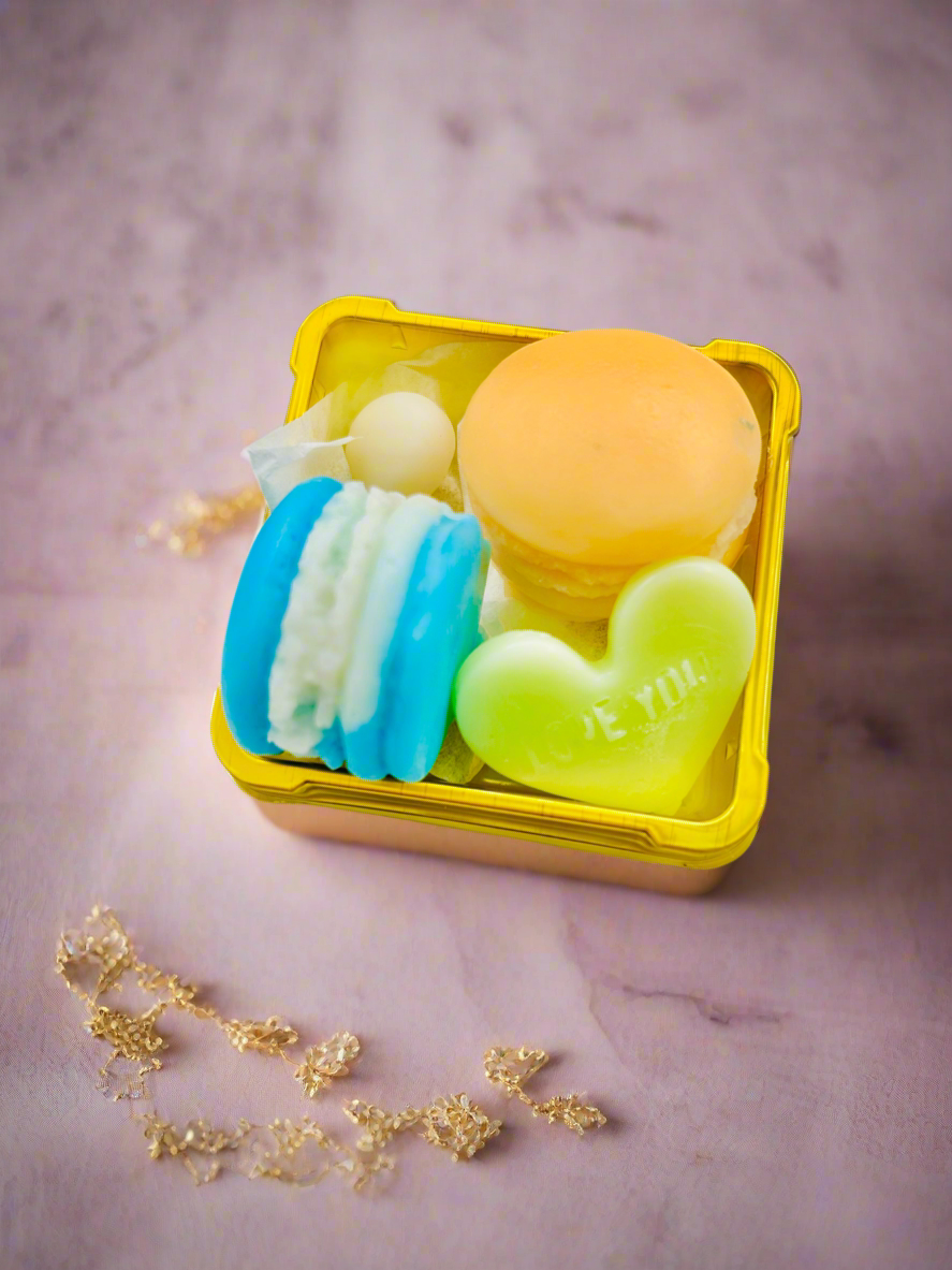 Tallow Wax Melt Macaroon