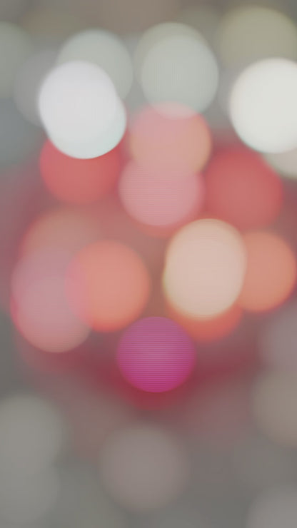 Cherub Rose Complete Set